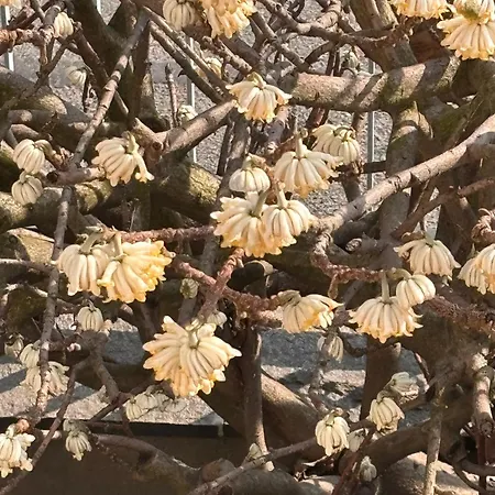 Nina Matrimoniale In Moncalieri