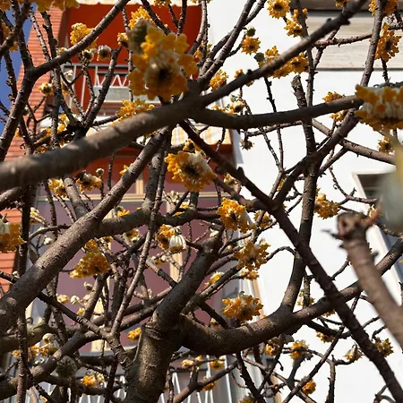 Ubytování v soukromí Nina Matrimoniale In *